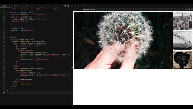 Create an image gallery in Framer Motion