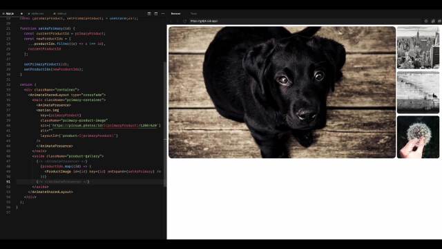 Create an image gallery in Framer Motion